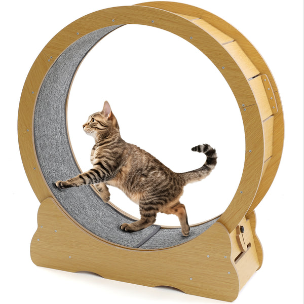YODOLLA 31.5” Cat Treadmill Cat Exercise Wheel with Nonslip Carpet Cat Teaser for Indoor Cats,Natural