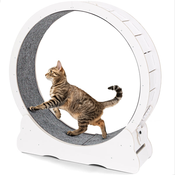 AECOJOY Cat Exercise Wheel 35.8” Cat Treadmill for Indoor Cats Large Quiet Cat Wheel with Detachable Carpeted Runway White