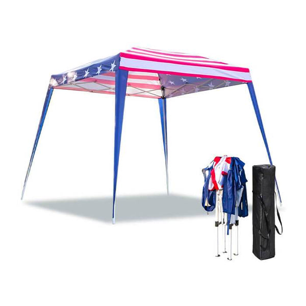 10' x 10' Folding Canopy Tent Portable Sun Shelter with Carry Bag