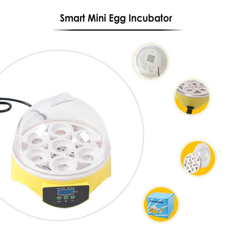 7 Eggs Automatic Mini Egg Incubator with Temperature Control