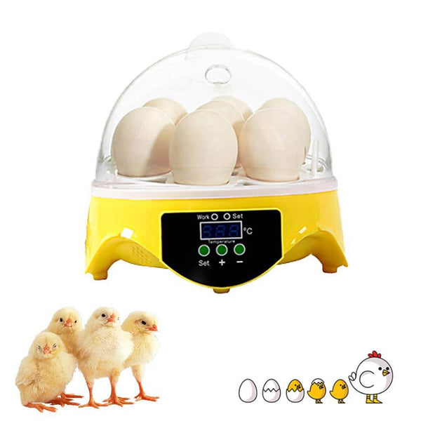 7 Eggs Automatic Mini Egg Incubator with Temperature Control