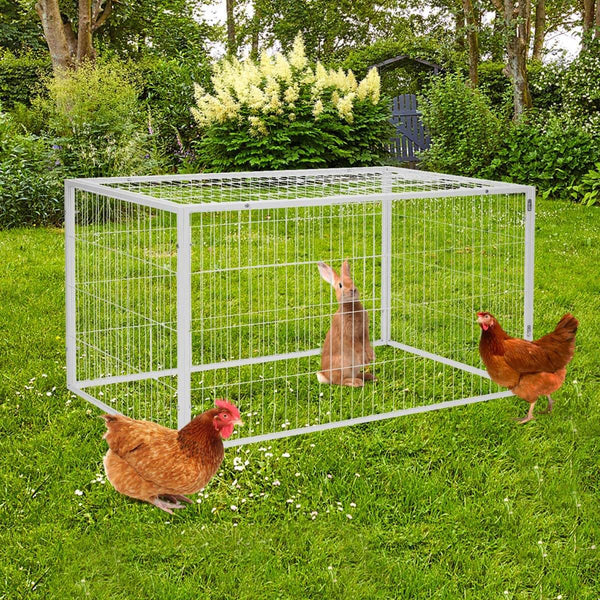 Large Chicken Coop Playpen