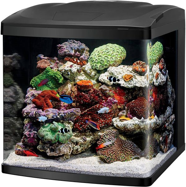 LED Biocube Aquarium Sleek modern hood with vibrant LED lighting