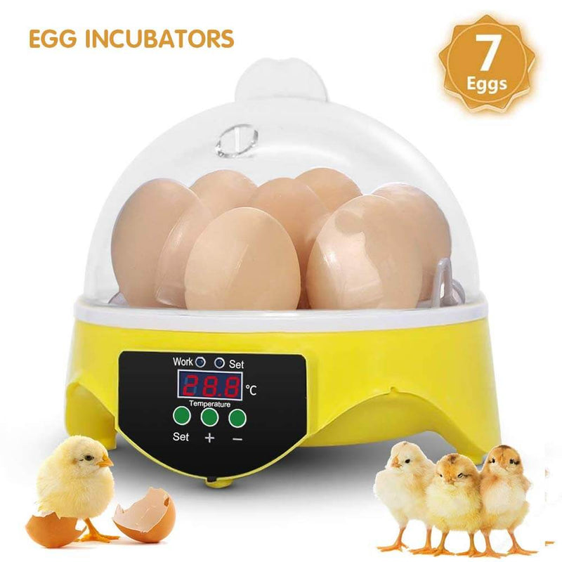 7 Eggs Automatic Mini Egg Incubator with Temperature Control