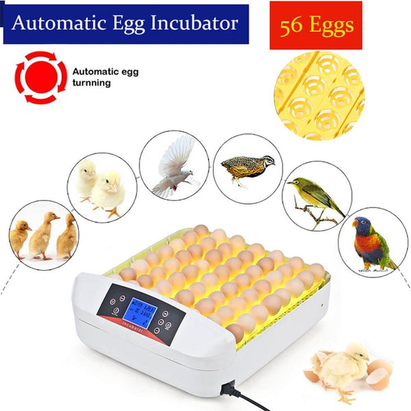 Full Automatic Egg Incubator 56 Eggs Incubator Hatcher Temperature Control
