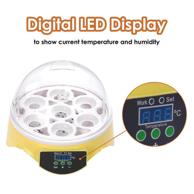 7 Eggs Automatic Mini Egg Incubator with Temperature Control