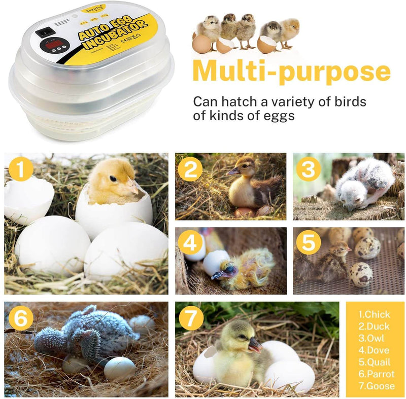 Digital Mini Fully Automatic 9-12 Egg Incubator Poultry Hatcher