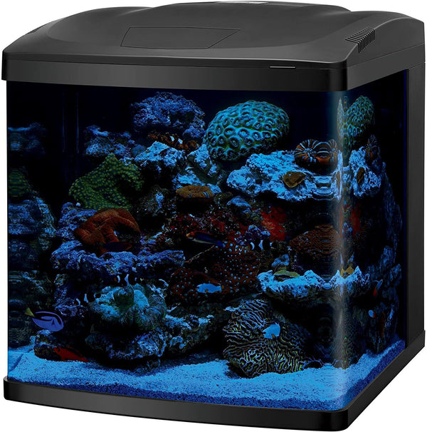 LED Biocube Aquarium Sleek modern hood with vibrant LED lighting