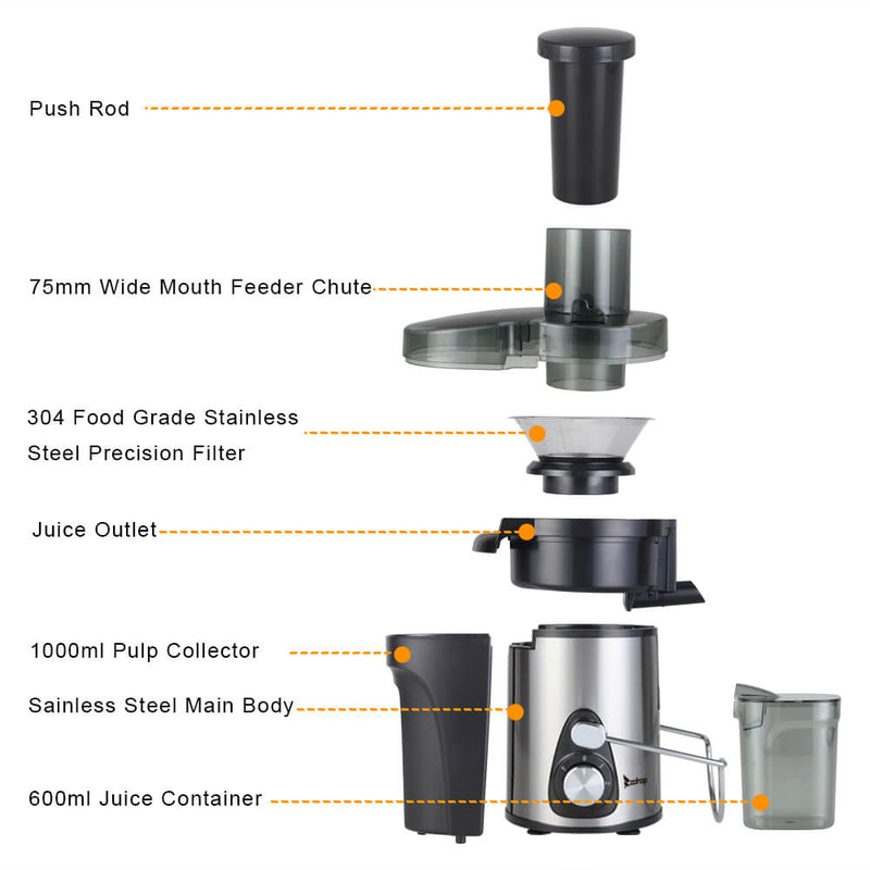 Large Caliber 600ML Juicer Machine Double Gear Easy to Clean Electric Juicer