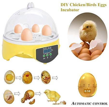 7 Eggs Automatic Mini Egg Incubator with Temperature Control