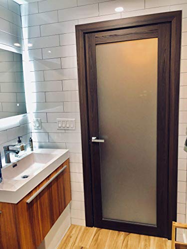Glass Sliding Barn Door Panel Slab Barn Pocket Sliding Closet Frosted Lite 42in x 80in