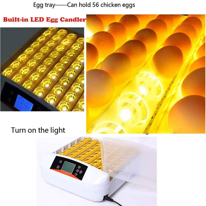 Full Automatic Egg Incubator 56 Eggs Incubator Hatcher Temperature Control