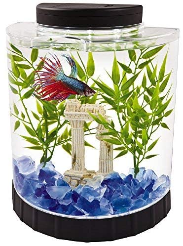 LED Half Moon aquarium Kit 1.1 Gallons, Ideal For Bettas, Black