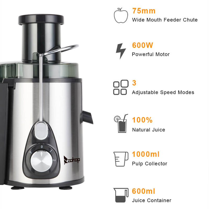 Large Caliber 600ML Juicer Machine Double Gear Easy to Clean Electric Juicer