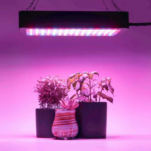 1200W LED Plant Grow Lights for Indoor Plants Full Spectrum Dual-Chip with Daisy Chain & Thermometer Humidity Monitor