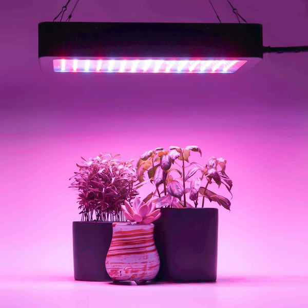 900W LED Plant Grow Lights for Indoor Plants Full Spectrum Dual-Chip with Daisy Chain & Thermometer Humidity Monitor