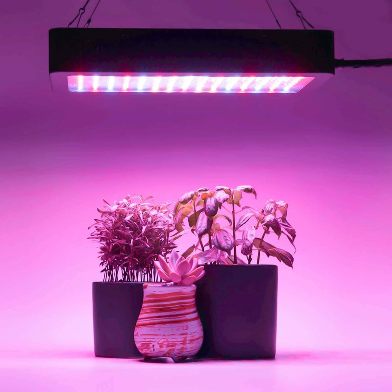 900W LED Plant Grow Lights for Indoor Plants Full Spectrum Dual-Chip with Daisy Chain & Thermometer Humidity Monitor