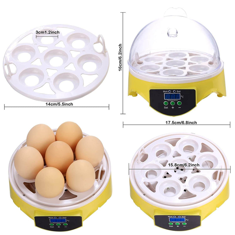 7 Eggs Automatic Mini Egg Incubator with Temperature Control