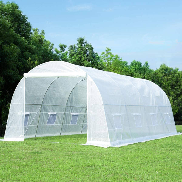 20' x 10' x 7' Tunnel Greenhouse Walking in Greenhouse, Large Grow Greenhouse Plant Hot House, White