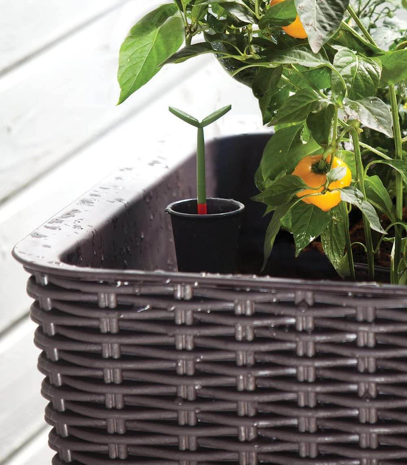 31.7 Gallon Raised Garden Bed with Self Watering Planter Box and Drainage Plug, Brown