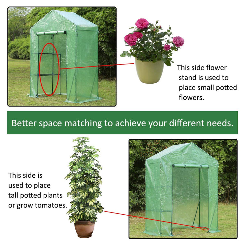 Walk-in Greenhouse,Indoor Outdoor Plant Gardening, 2 Tier 2 Shelves Hot House for Flowers, Plants and Vegetables 56"x 29" x 77" Green