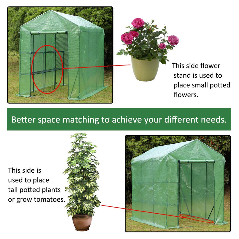 Walk-in Greenhouse, Indoor Outdoor Plant Gardening, 2 Tier 6 Shelves Hot House for Flowers, Plants and Vegetables 56"x 84" x 77", Green