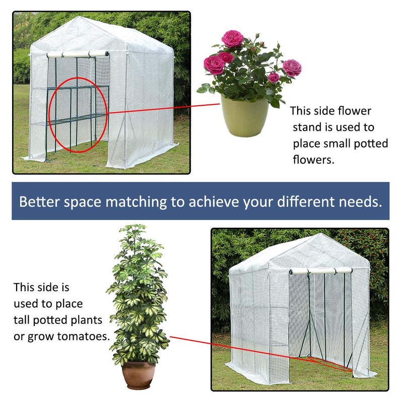 Walk-in Greenhouse, Plant Garden Greenhouse Indoor Outdoor , 2 Tier 6 Shelves Hot House for Flowers, Plants and Vegetables 56"x 84" x 77" White