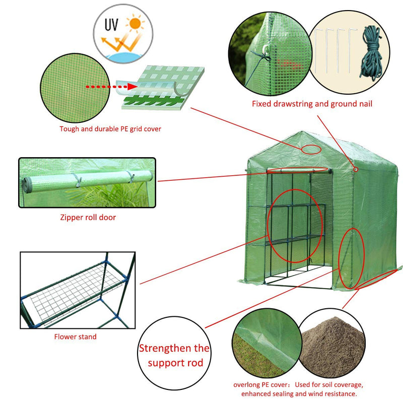 Walk-in Greenhouse, Indoor Outdoor Plant Gardening, 2 Tier 6 Shelves Hot House for Flowers, Plants and Vegetables 56"x 84" x 77", Green