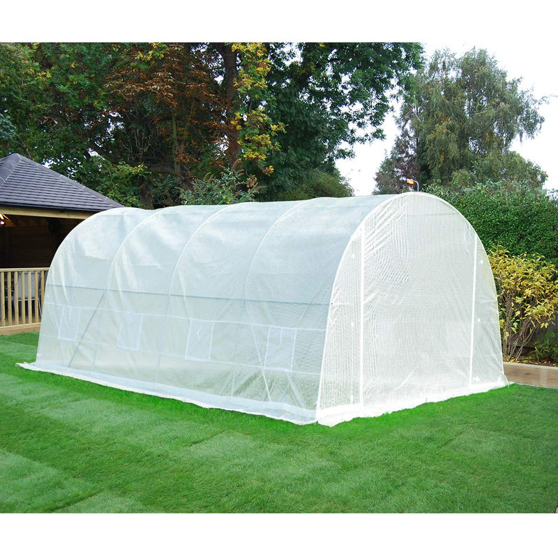 20' x 10' x 7' Tunnel Greenhouse Walking in Greenhouse, Large Grow Greenhouse Plant Hot House, White
