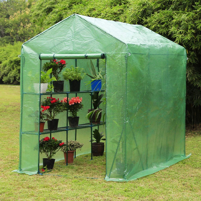 Walk-in Greenhouse, Indoor Outdoor Plant Gardening, 2 Tier 6 Shelves Hot House for Flowers, Plants and Vegetables 56"x 84" x 77", Green