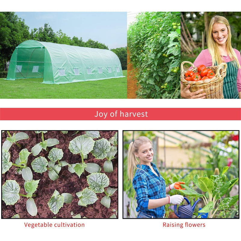 26' x 10' x 7' Large Tunnel Greenhouse, Plant Hot House Walking in Greenhouse, Green