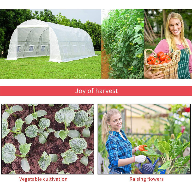 20' x 10' x 7' Tunnel Greenhouse Walking in Greenhouse, Large Grow Greenhouse Plant Hot House, White