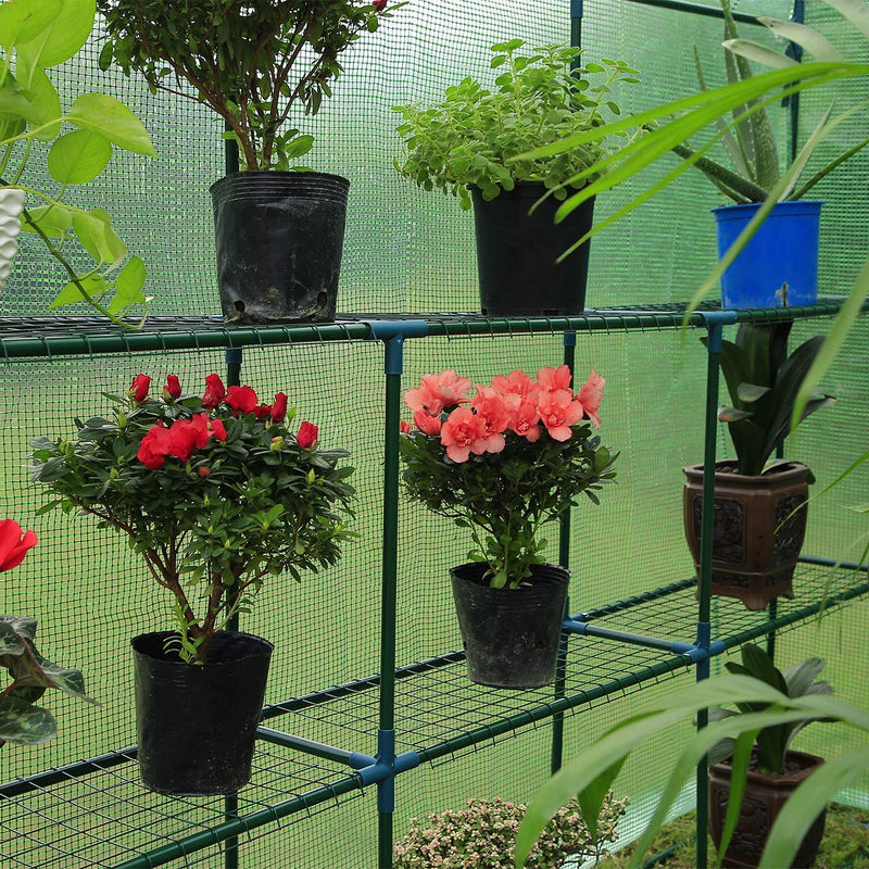 Walk-in Greenhouse, Indoor Outdoor Plant Gardening, 2 Tier 6 Shelves Hot House for Flowers, Plants and Vegetables 56"x 84" x 77", Green
