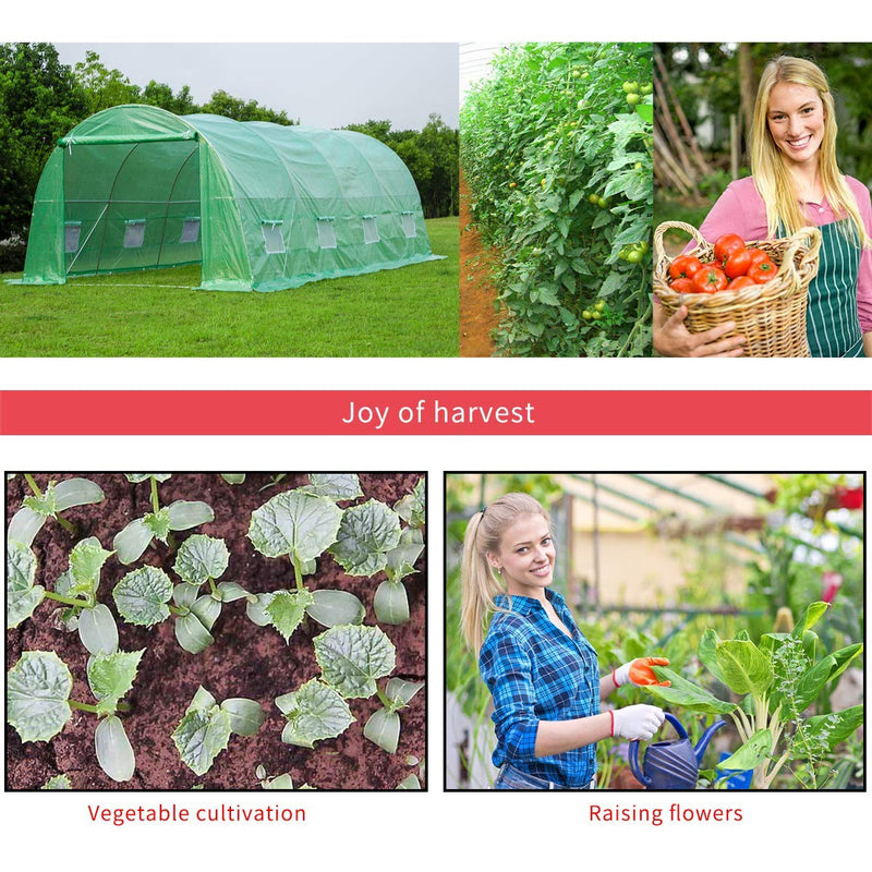 20' x 10' x 7' Large Tunnel Greenhouse, Walking in Greenhouse Plant Hot House, Green