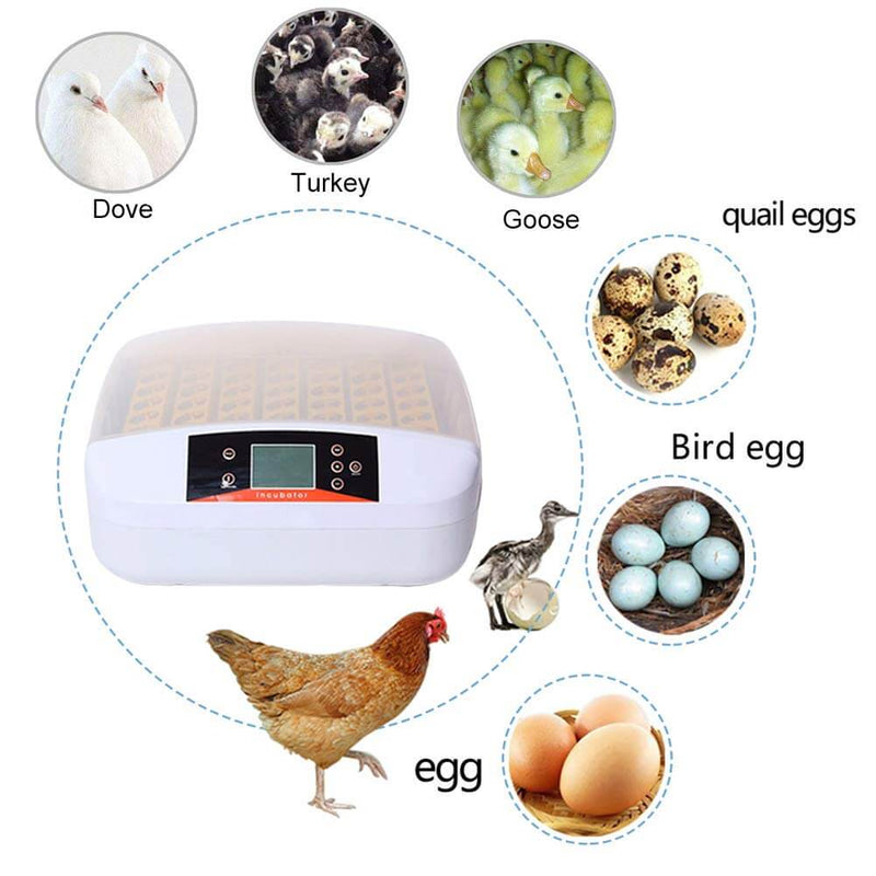 Full Automatic Egg Incubator 56 Eggs Incubator Hatcher Temperature Control