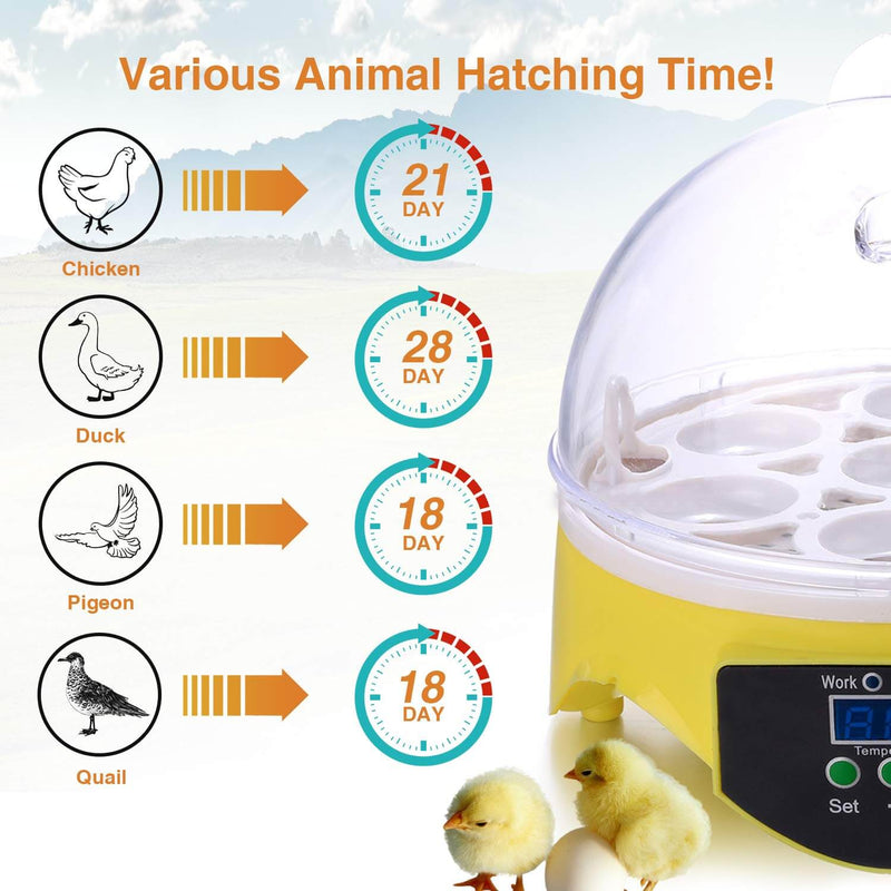7 Eggs Automatic Mini Egg Incubator with Temperature Control