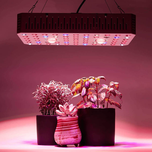 1000W LED Plant Grow Lights for Indoor Plants Full Spectrum Dual-Chip with Daisy Chain & Thermometer Humidity Monitor