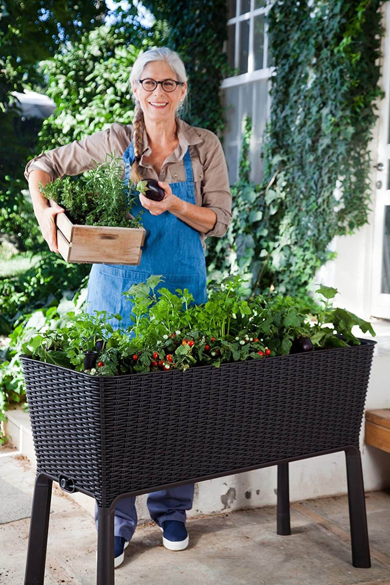 31.7 Gallon Raised Garden Bed with Self Watering Planter Box and Drainage Plug, Graphite