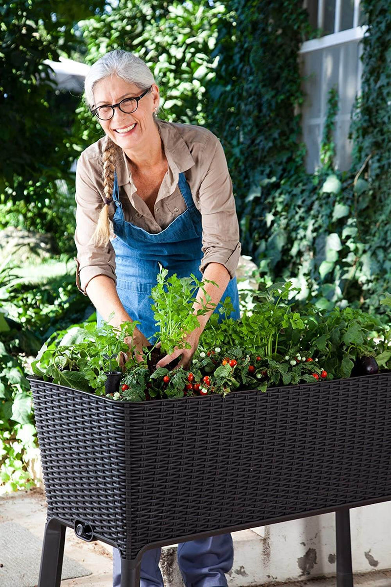 31.7 Gallon Raised Garden Bed with Self Watering Planter Box and Drainage Plug, Graphite