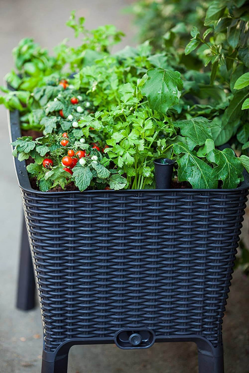 31.7 Gallon Raised Garden Bed with Self Watering Planter Box and Drainage Plug, Graphite