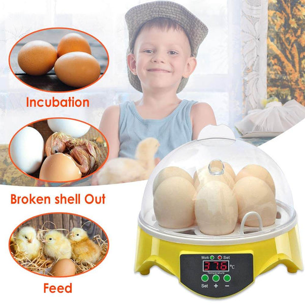 7 Eggs Automatic Mini Egg Incubator with Temperature Control