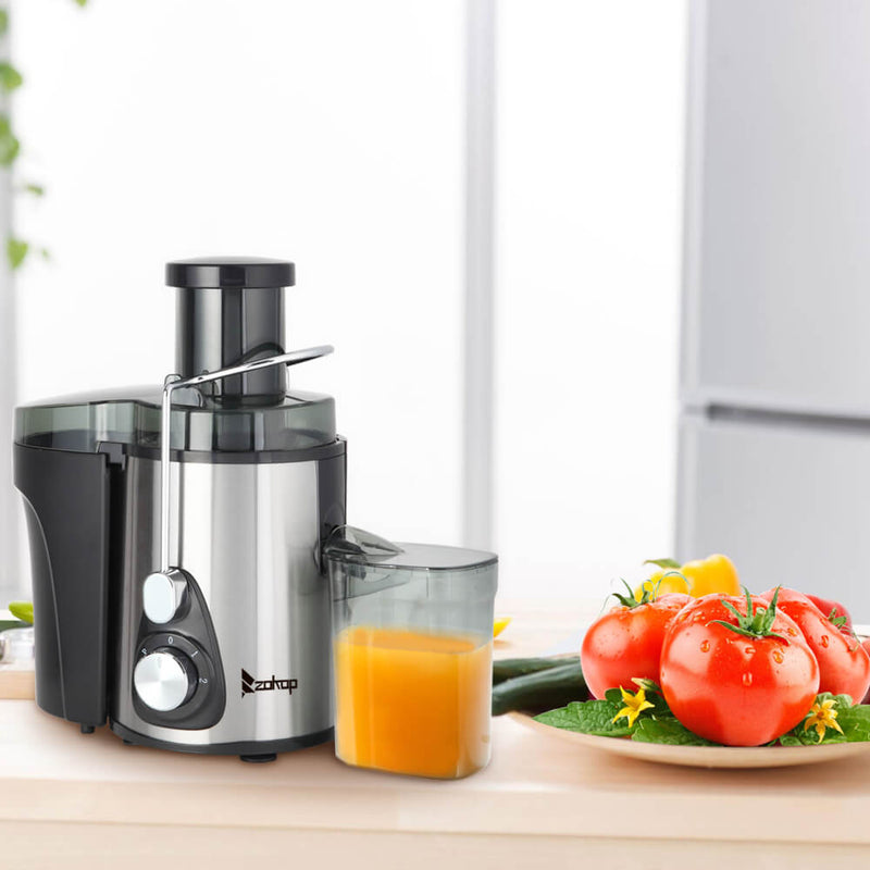 Large Caliber 600ML Juicer Machine Double Gear Easy to Clean Electric Juicer